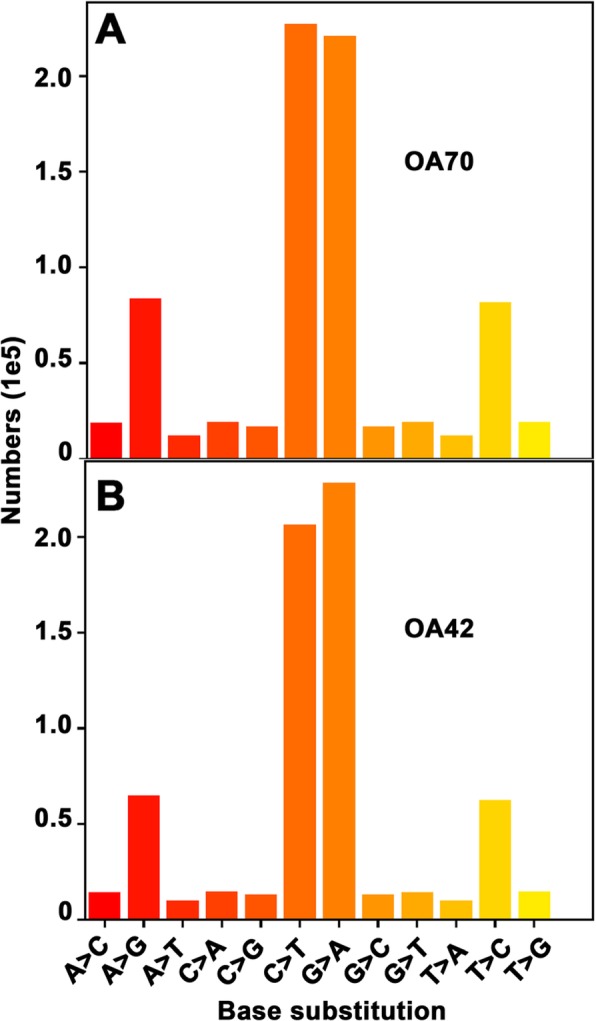 Fig. 10