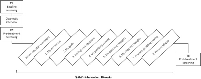 Fig. 1
