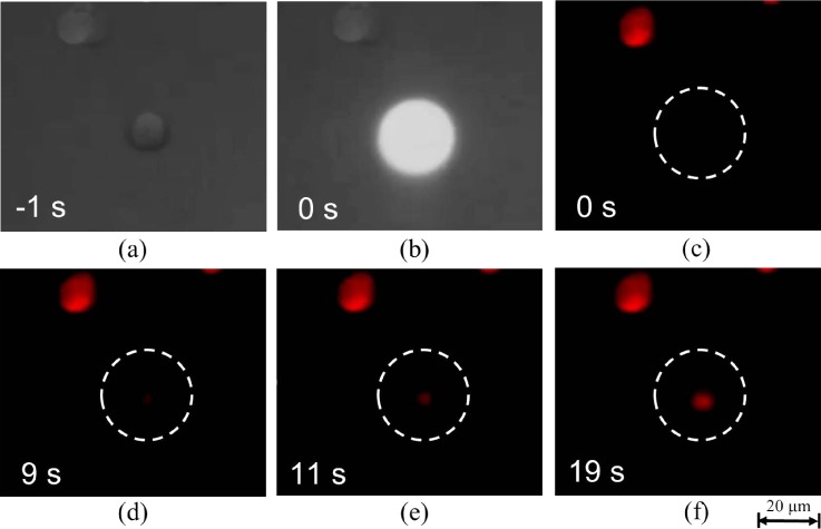 FIG. 9.