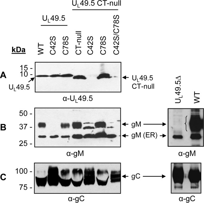 FIG 6