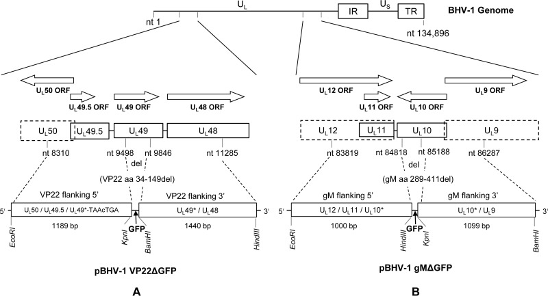 FIG 13