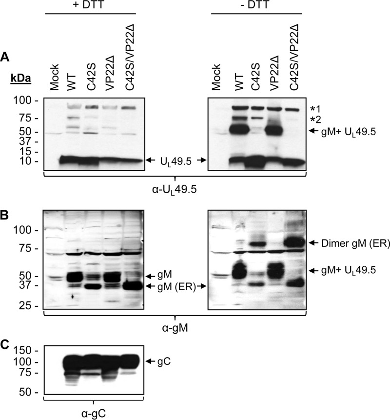 FIG 5