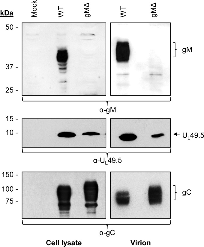 FIG 9