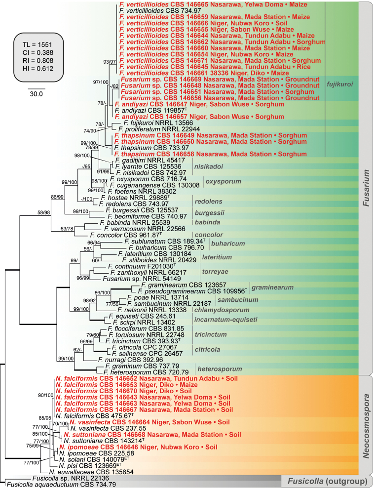 Figure 3.