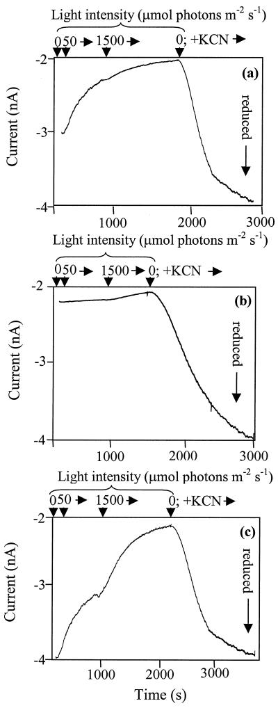 FIG. 1