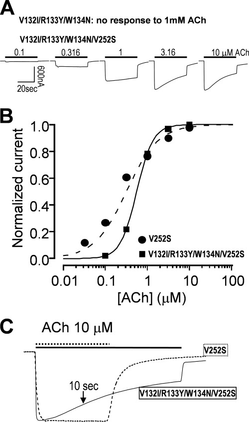 FIGURE 4.