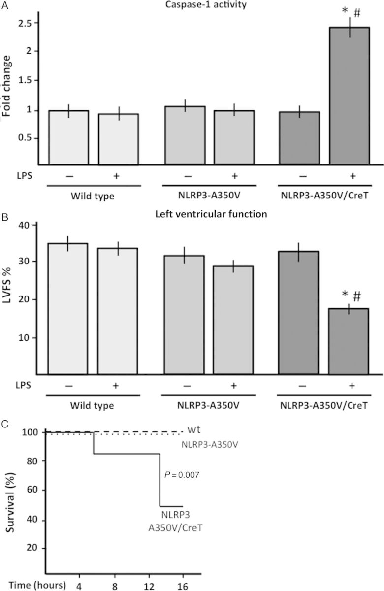 Figure 5