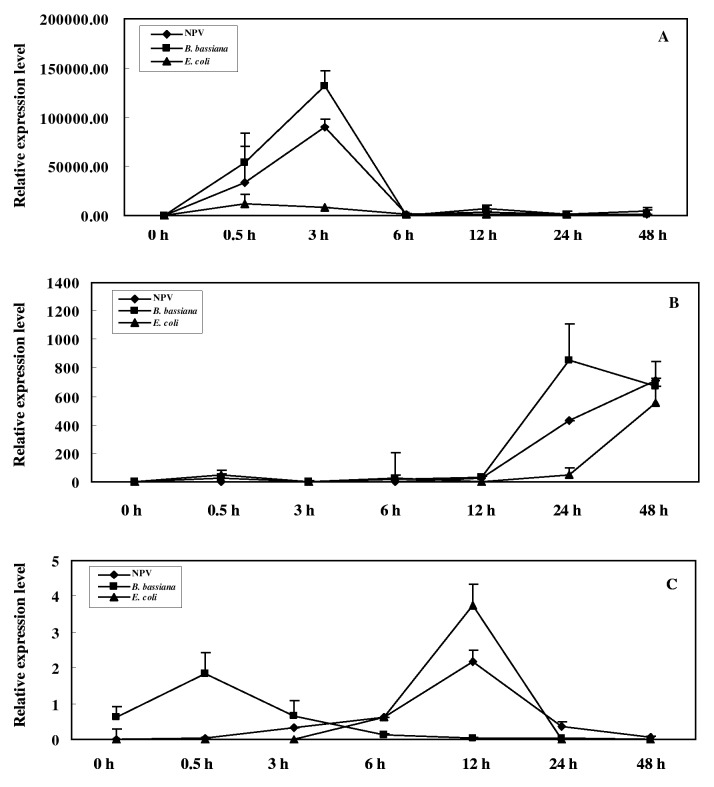 Fig 2