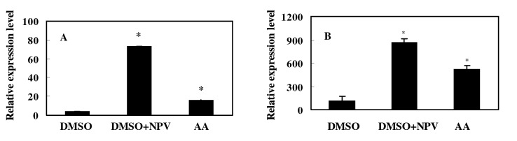 Fig 5