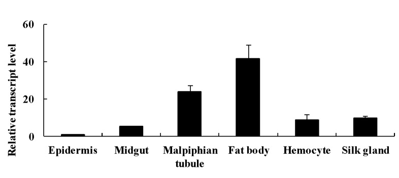 Fig 1