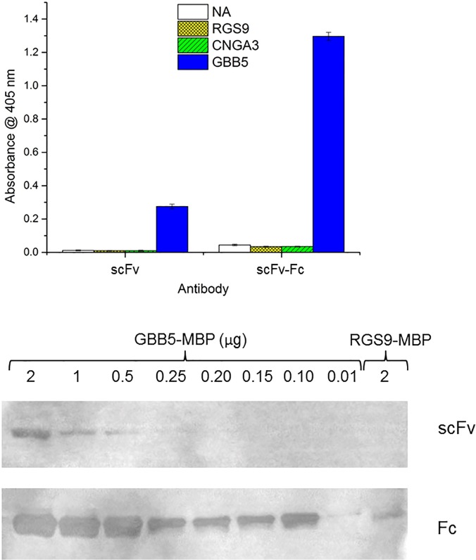 Fig 7