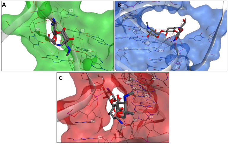 Figure 5