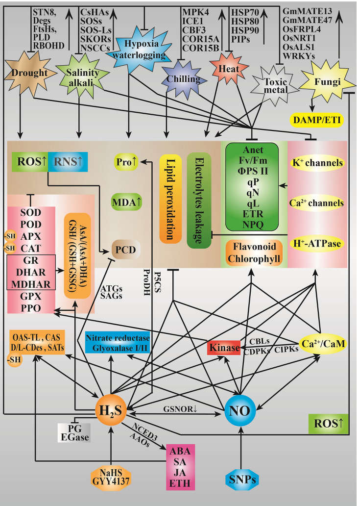 Fig. 2