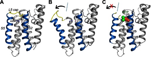 FIGURE 1.