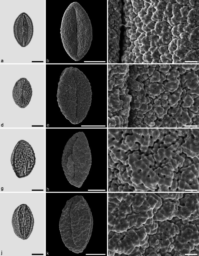 Fig. 12