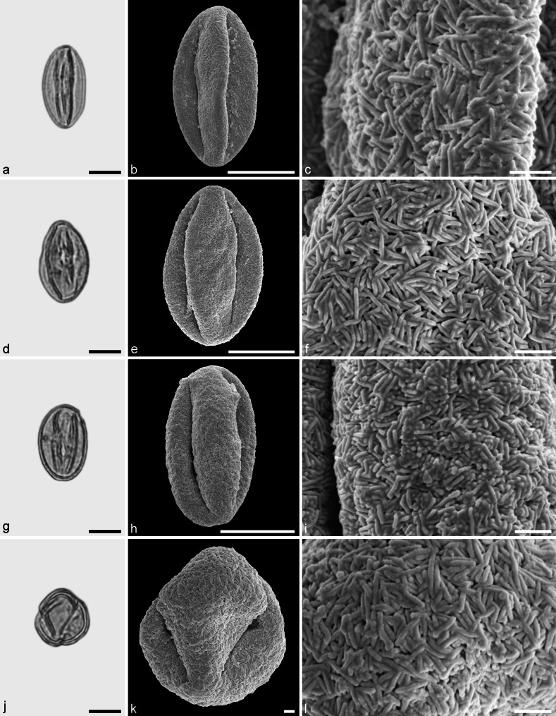 Fig. 14