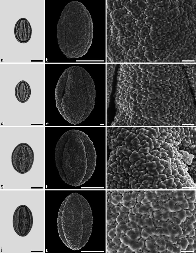 Fig. 11