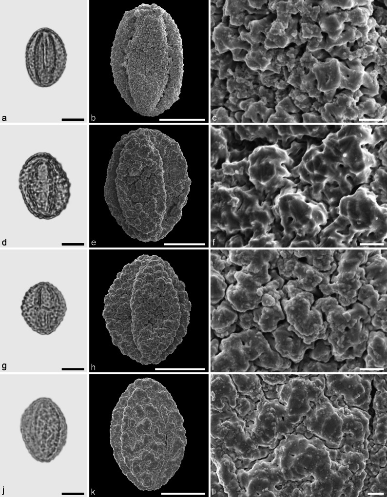 Fig. 13