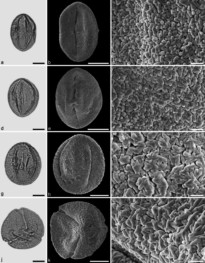 Fig. 10