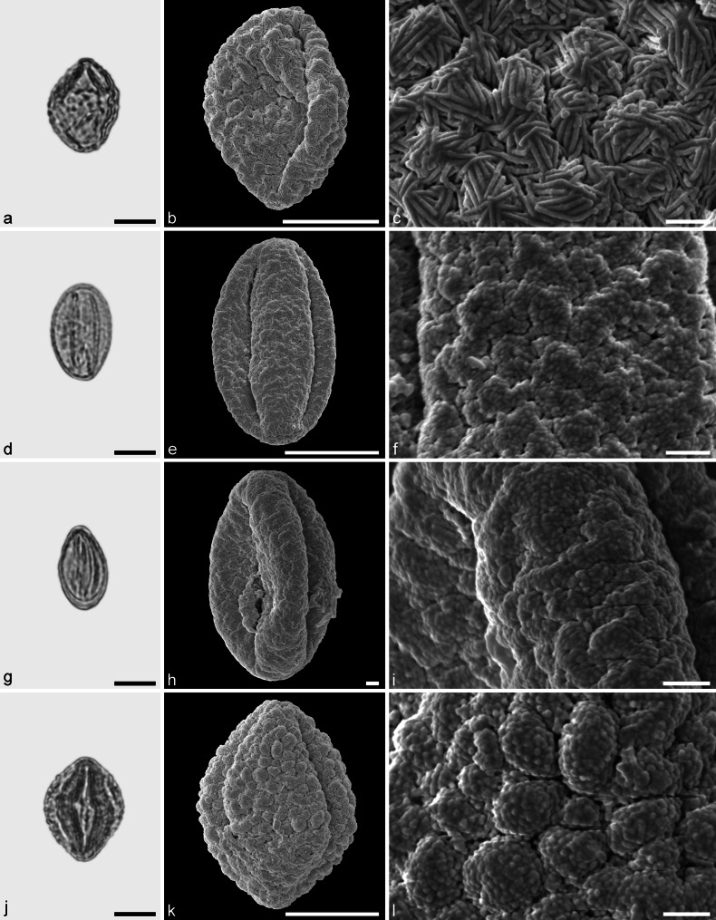 Fig. 15