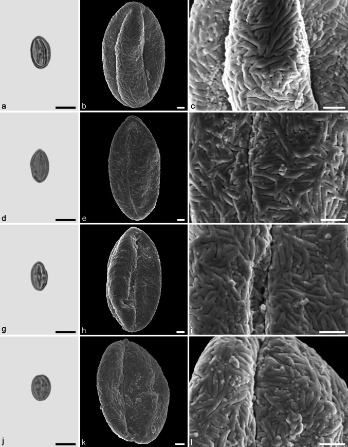 Fig. 8