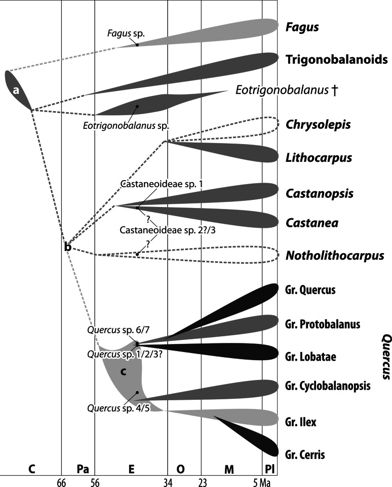 Fig. 16