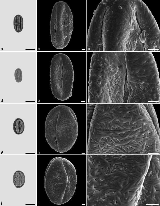 Fig. 7