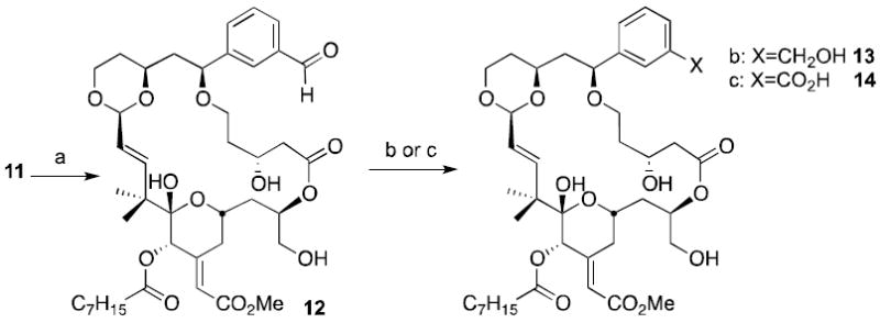 Scheme 5