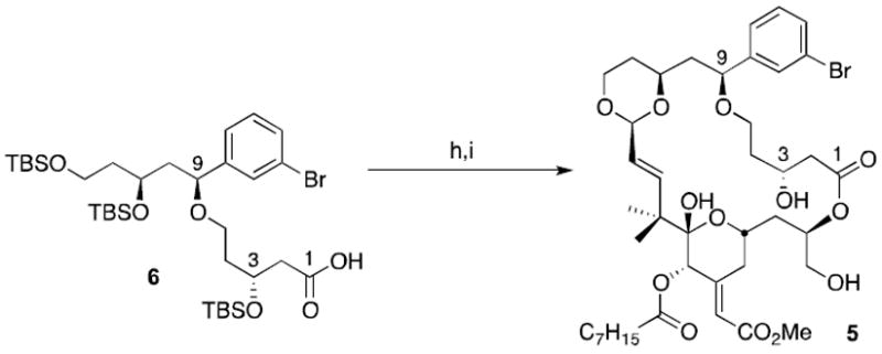 Scheme 3