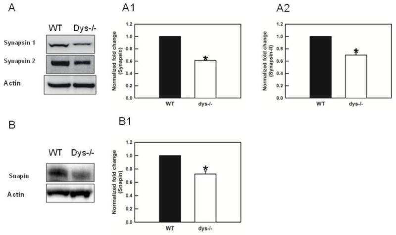 Fig 5