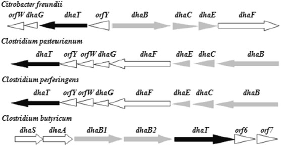 Fig. 6