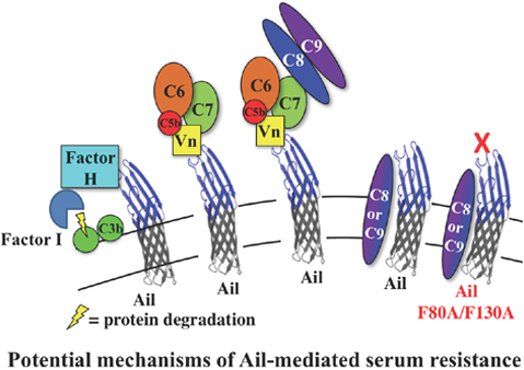 graphic file with name nihms-990546-f0001.jpg