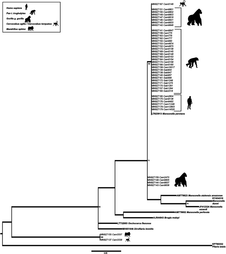 Fig. 3