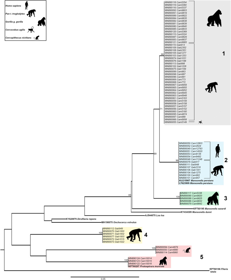 Fig. 2