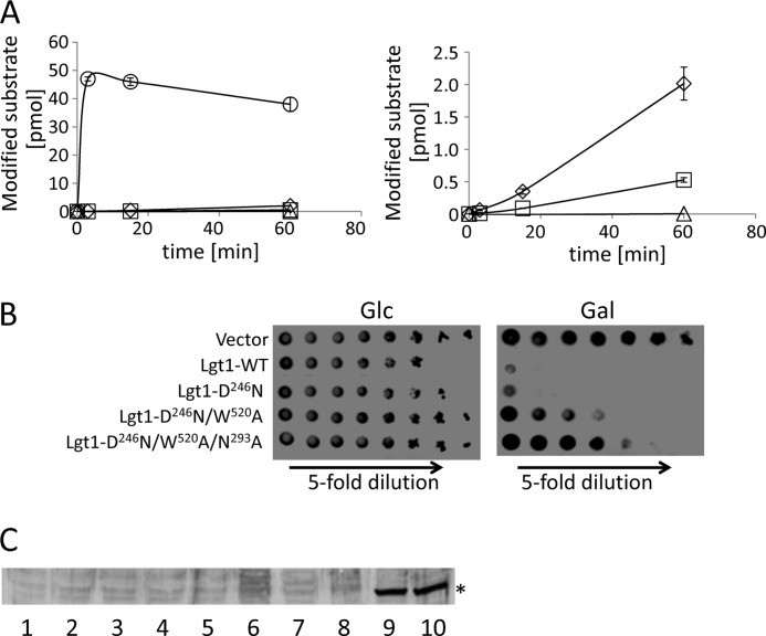 FIGURE 1.