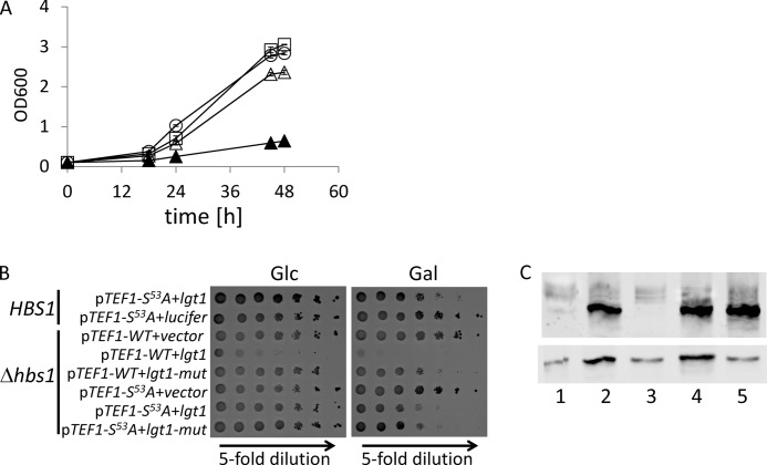 FIGURE 7.