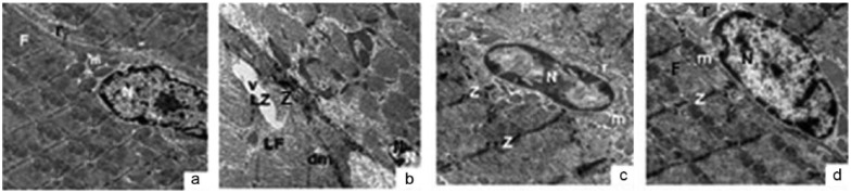 Figure 9.