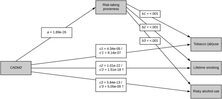 FIGURE 1