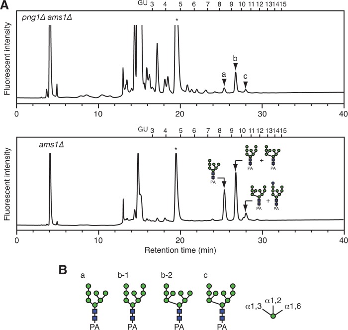 FIGURE 1.