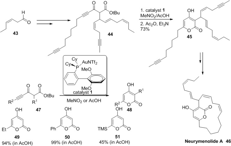 Scheme 14