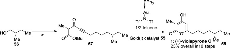 Scheme 16