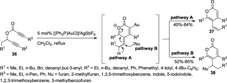 Scheme 12