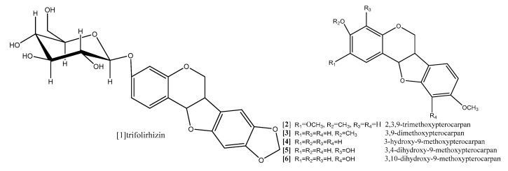 Figure 8