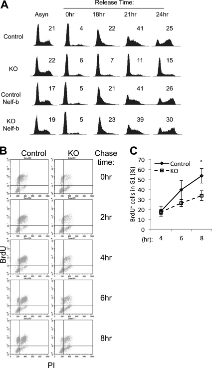 FIGURE 6.