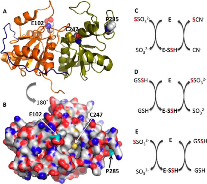 FIGURE 1.