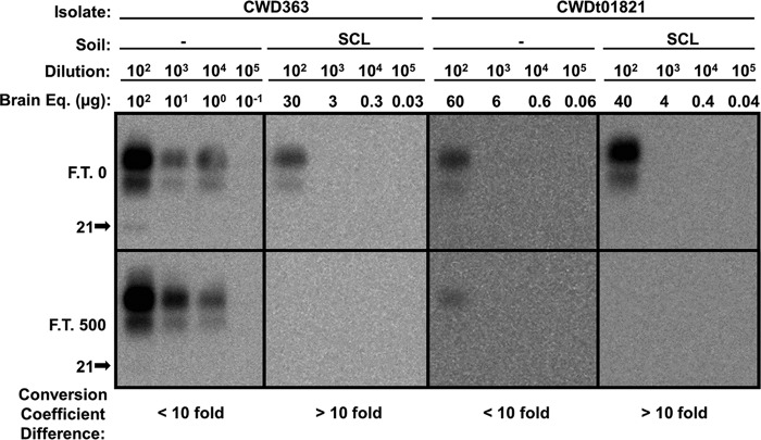 FIG 6