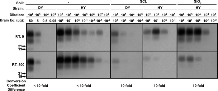 FIG 2