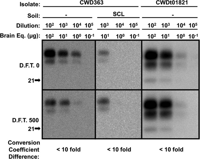 FIG 8