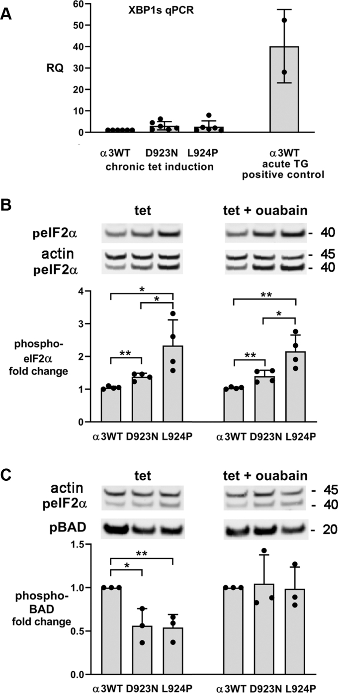 Figure 4