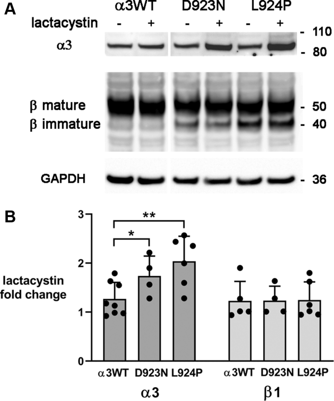 Figure 5